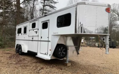 DOT Regulations for Hauling Horses: Everything You Need to Know